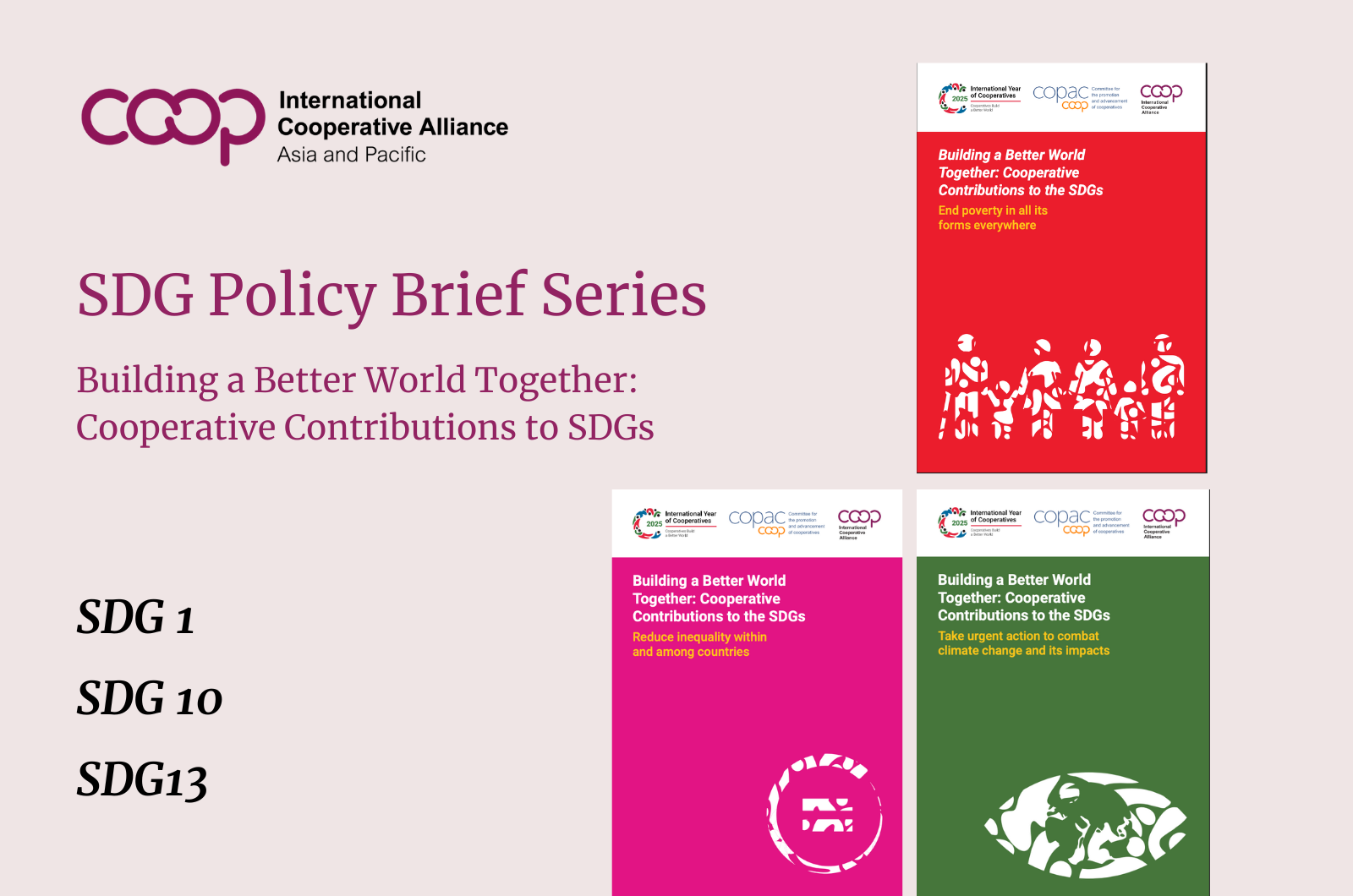 SDGs is a policy brief series